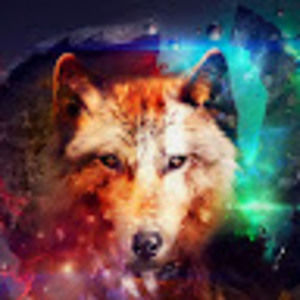 Meet your Posher, Alexander